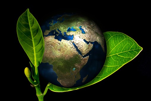 Prevención y control ambiental de las actividades empresariales