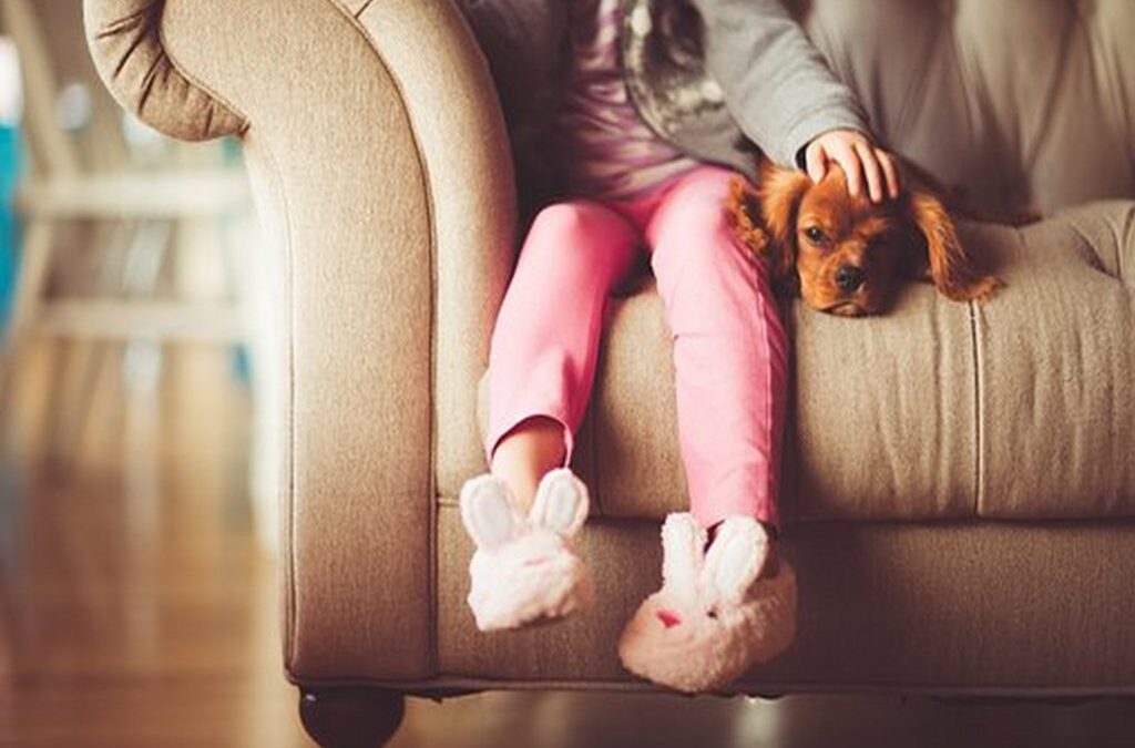 Divorcio: Uso de la vivienda conyugal